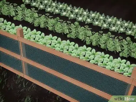 Image intitulée Keep Animals Out of Your Vegetable Garden Step 1