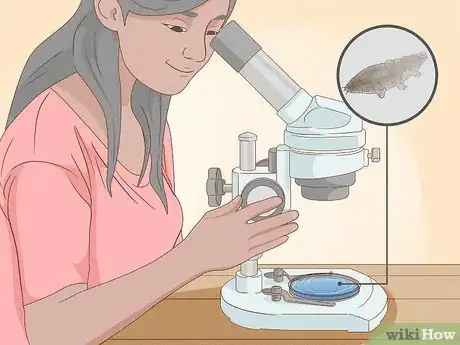 Image intitulée Find and Care for a Pet Tardigrade (Water Bear) Step 8