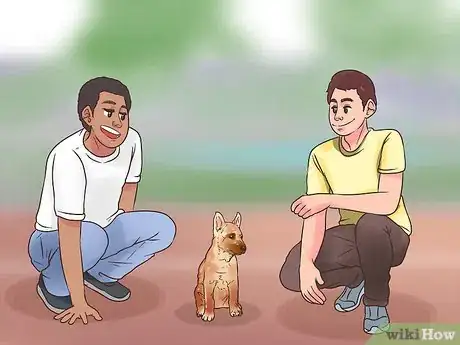 Image intitulée Train a Belgian Malinois Step 1