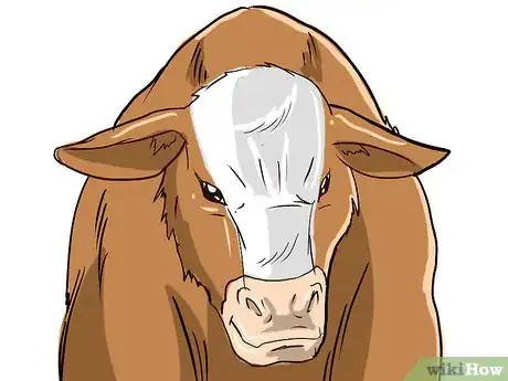 Image intitulée Feed Cattle Step 2Bullet1
