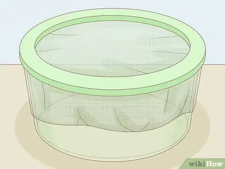Image intitulée Find a Caterpillar Step 14