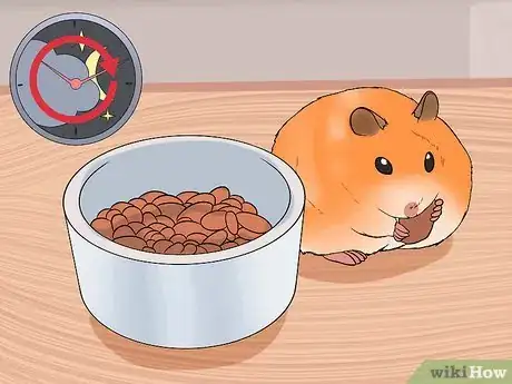 Image intitulée Find a Lost Hamster Step 7