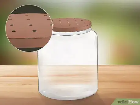 Image intitulée Care for Woolly Bear Caterpillars Step 1