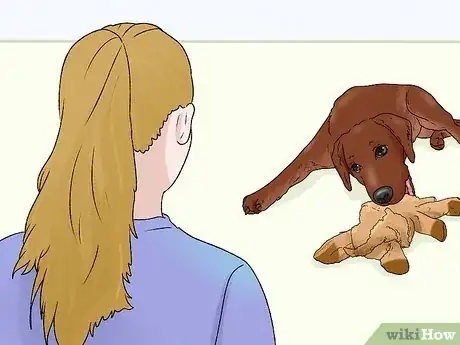 Image intitulée Train Labrador Retrievers Step 18