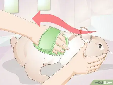 Image intitulée Care for Disabled Rabbits Step 13