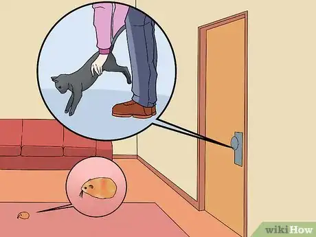 Image intitulée Find a Lost Hamster Step 4