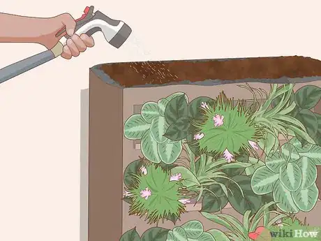 Image intitulée Make a Living Wall Step 14