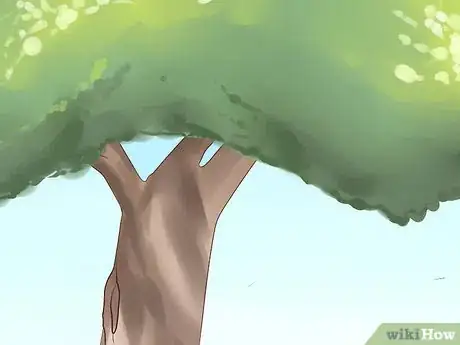 Image intitulée Get Rid of a Wasp's Nest Step 20