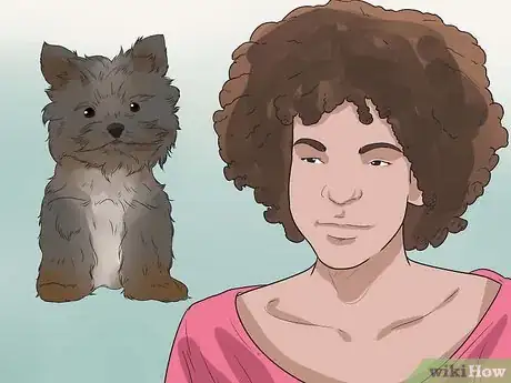 Image intitulée Choose a Yorkie Puppy Step 3