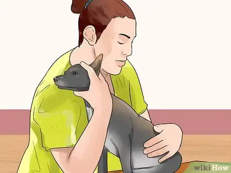 Image intitulée Treat a Sprain on a Dog Step 3