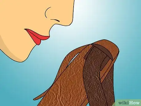 Image intitulée Remove Smell from an Old Leather Bag Step 7
