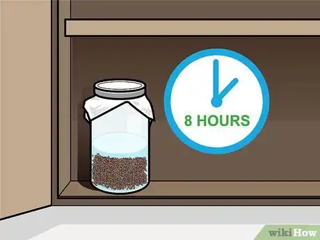 Image intitulée Grow Broccoli Sprouts Step 6