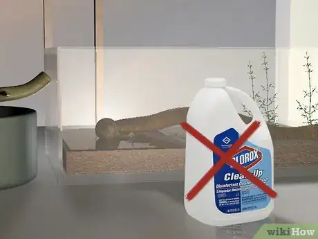 Image intitulée Care for Snails Step 10Bullet1