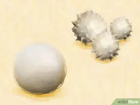 Image intitulée Identify Spider Egg Sacs Step 2