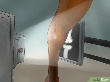 Image intitulée Tell if Your Horse Needs Hock Injections Step 17
