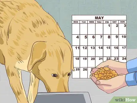 Image intitulée Make a Raw Food Diet for Dogs Step 4