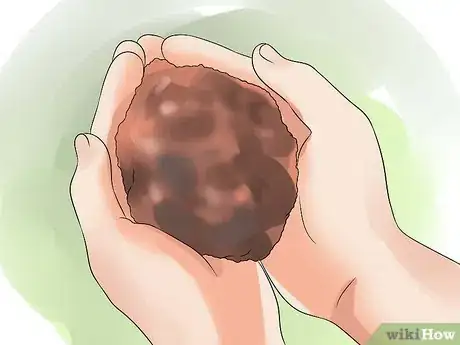 Image intitulée Grow Anthurium Plants Step 1