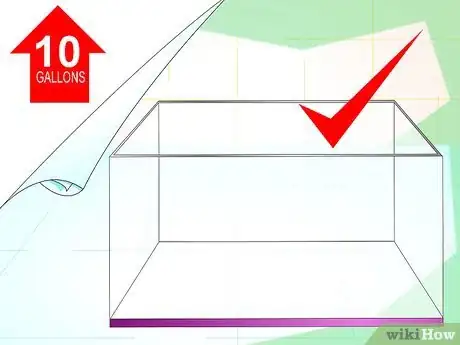 Image intitulée Make a Female Betta Community Step 1