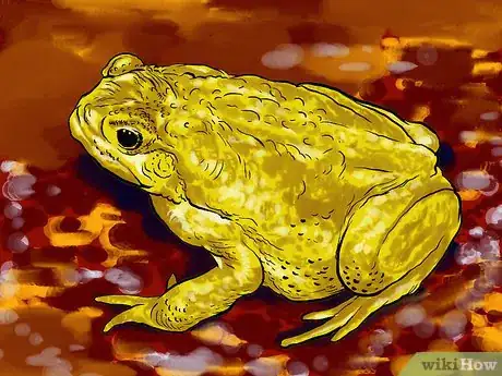 Image intitulée Get Rid of Frogs Step 1Bullet2