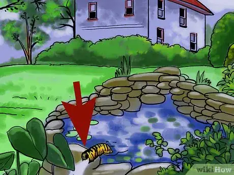 Image intitulée Get Rid of Frogs Step 3