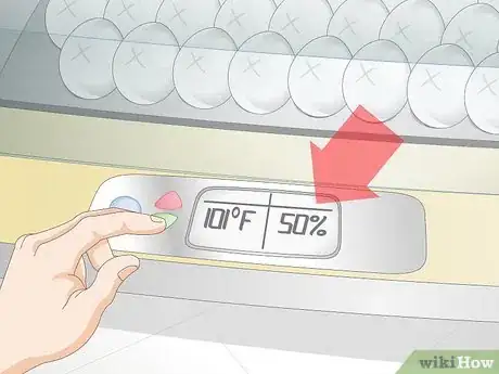 Image intitulée Use an Incubator to Hatch Eggs Step 16