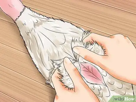 Image intitulée Field Dress a Duck Step 21