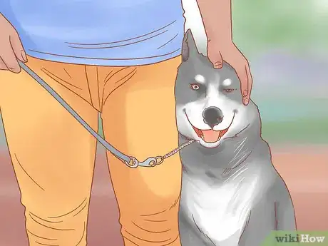 Image intitulée Care for a Husky Step 4