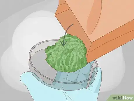 Image intitulée Find and Care for a Pet Tardigrade (Water Bear) Step 4