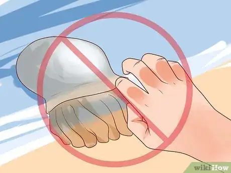 Image intitulée Avoid Getting Stung by Jellyfish Step 8