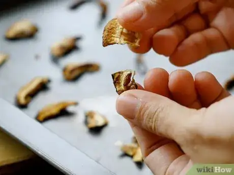 Image intitulée Dry Mushrooms Step 7