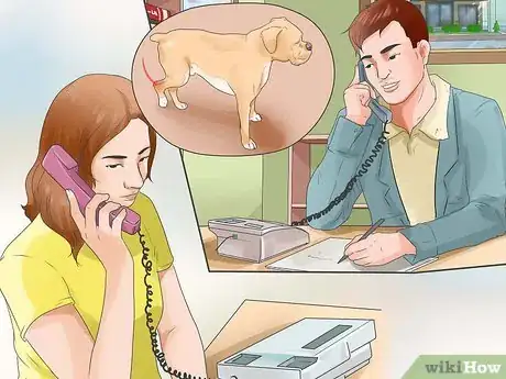 Image intitulée Treat a Sprain on a Dog Step 4