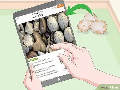 Image intitulée Create an Egg Incubator for Wild Bird Eggs Step 7