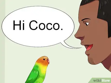 Image intitulée Train Your Budgie Step 9