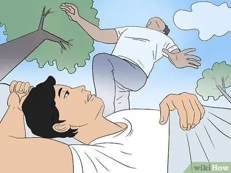 Image intitulée Fly in Your Dreams Step 12