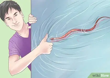 Image intitulée Differentiate Between Poisonous Snakes and Non Poisonous Snakes Step 8