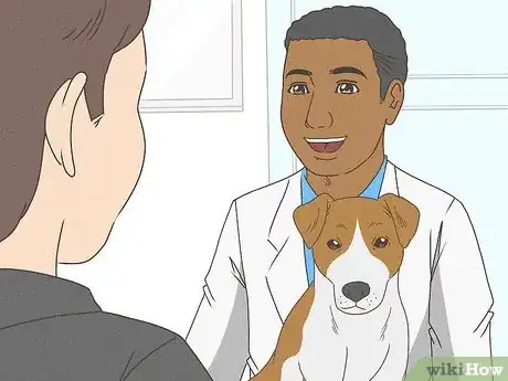 Image intitulée Detect Pregnancy in Your Female Dog Step 7
