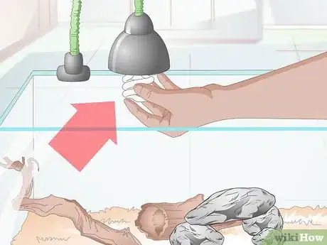 Image intitulée Take Care of a Garter Snake Step 7