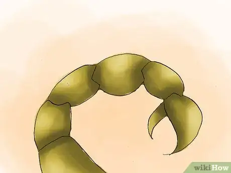 Image intitulée Treat a Scorpion Sting Step 18