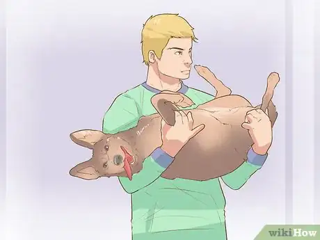 Image intitulée Get Pet Custody After a Breakup Step 3