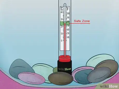 Image intitulée Fix Swim Bladder Disease in Goldfish Step 5