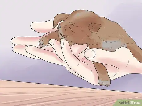 Image intitulée Tube Feed a Puppy Step 7