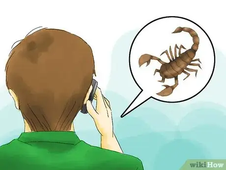 Image intitulée Treat a Scorpion Sting Step 04
