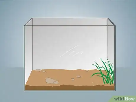Image intitulée Keep Crickets Alive Step 1Bullet2