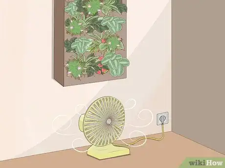 Image intitulée Make a Living Wall Step 12