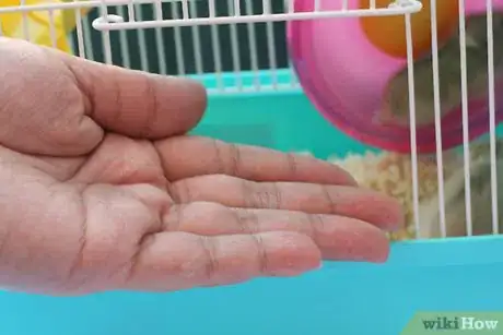 Image intitulée Care for a Hamster Step 16Bullet1