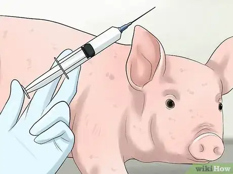 Image intitulée Increase the Weight of a Pig Step 12