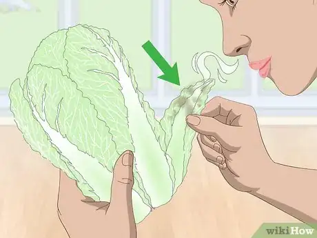 Image intitulée Check if Vegetables Are Spoiled Step 1