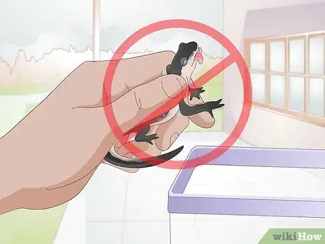 Image intitulée Care for Salamanders Step 11