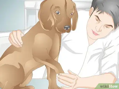 Image intitulée Care for a Dog's Dew Claw Step 5