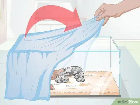 Image intitulée Take Care of a Garter Snake Step 5